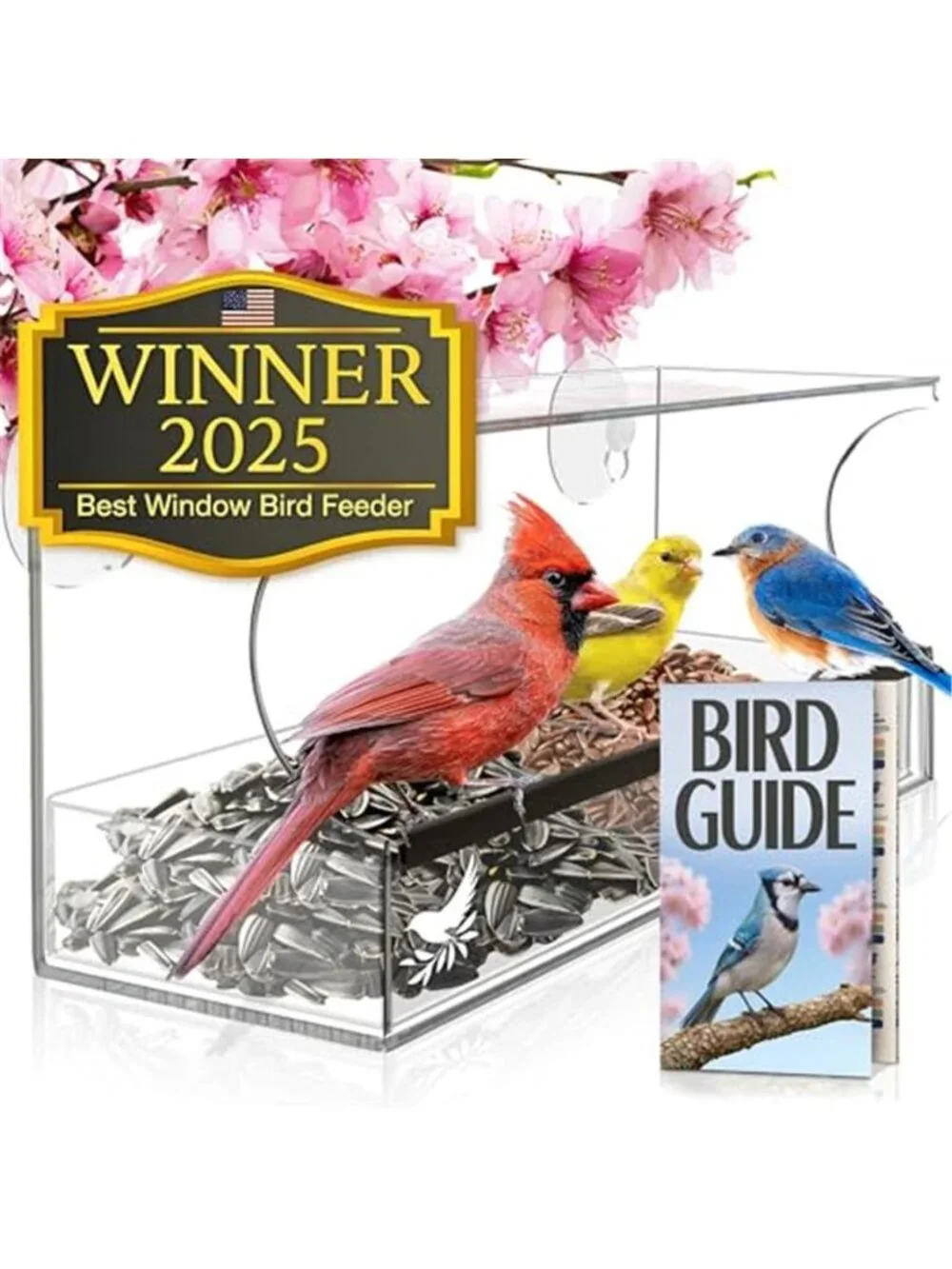 Window Bird Feeder by Nature’s Hangout - Award-Winning Clear Acrylic Bird Feeder